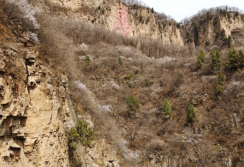 天桂山风景区第 22 张图片