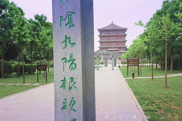 陈家沟第 25 张图片