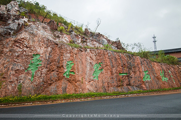 千岛湖石林景区第 65 张图片
