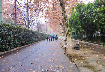 中山公园第 18 张图片