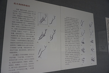 潘天寿故居第 10 张图片