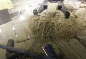 河姆渡考古遗址公园第 51 张图片