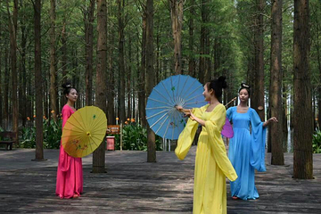 梦里水乡第 6 张图片