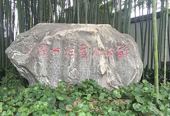 醉白池第 51 张图片