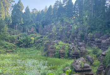 芙蓉镇第 234 张图片