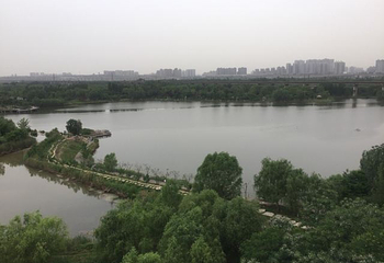 西安浐灞国家湿地公园第 101 张图片
