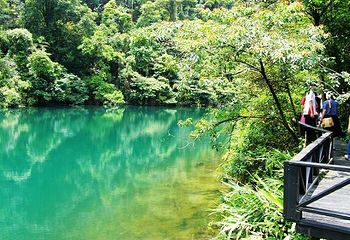 星湖湿地公园第 33 张图片