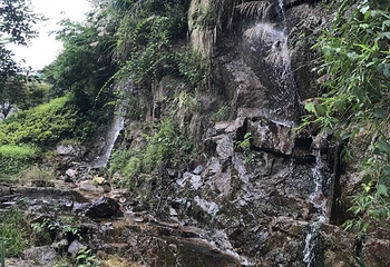 长谷洞天第 16 张图片