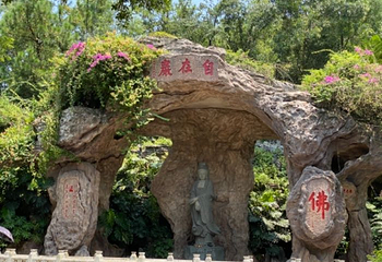 金台寺第 9 张图片