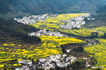 婺源风景区第 184 张图片