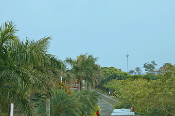 环岛路第 64 张图片