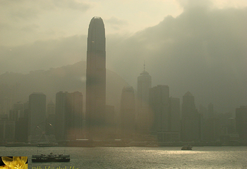 香港艺术馆第 75 张图片