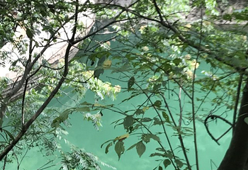 马拉河第 20 张图片