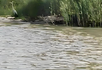 衡水湖旅游景区第 55 张图片
