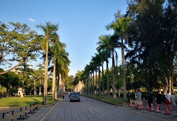厦门大学-芙蓉湖第 18 张图片