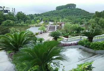 大屏嶂森林公园第 12 张图片