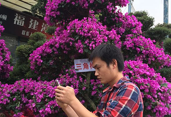浙江花木城第 4 张图片