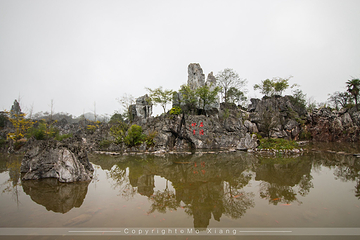 千岛湖石林景区第 66 张图片