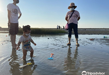 大安滨海乐园第 3 张图片
