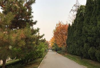 通惠河庆丰公园第 8 张图片