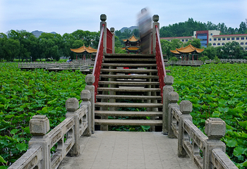 招堤风景区第 15 张图片