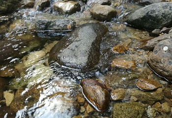 浙西大龙湾景区第 46 张图片