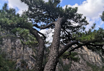 浙江大明山地质公园第 202 张图片