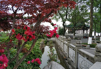 鸿恩寺公园第 48 张图片