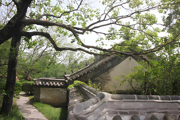 蓬莱欧乐堡海洋极地世界第 46 张图片