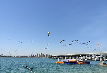 大连滨海国家地质公园第 23 张图片