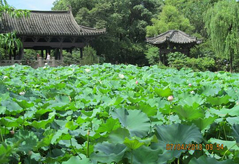 沈园之夜剧场第 21 张图片