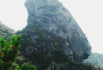 金刚台(西河)生态旅游区第 51 张图片