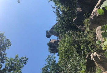 翠华山·秦岭终南山世界地质公园第 105 张图片