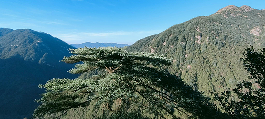 莽山五指峰景区第 13 张图片