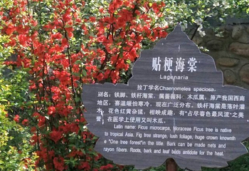 东方巨龟苑第 27 张图片