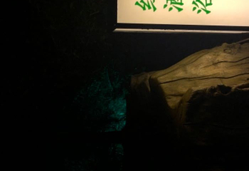 龙门水都鲤鱼湾温泉第 18 张图片