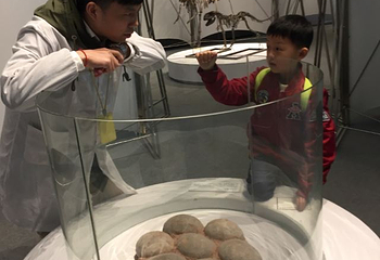 DINOLAB恐龙实验室第 23 张图片