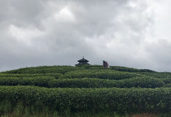 仙人山景区第 25 张图片