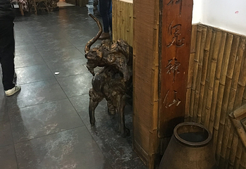 军声画院第 11 张图片