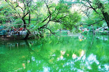 柳湖公园第 32 张图片