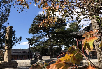 奉国寺第 79 张图片