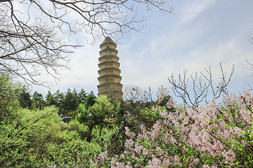 宝塔山公园第 8 张图片