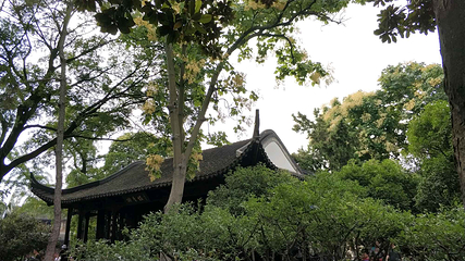 煦园第 11 张图片
