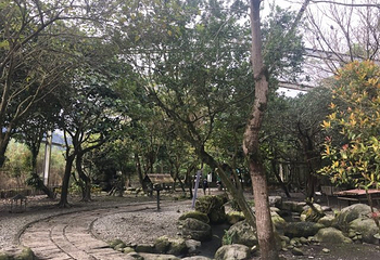 新光兆丰休闲农场第 32 张图片