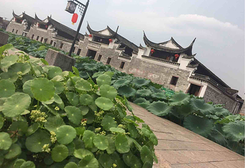 走马塘村第 8 张图片