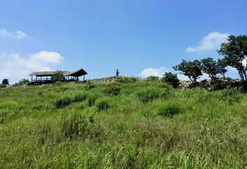 绿林山风景区第 61 张图片