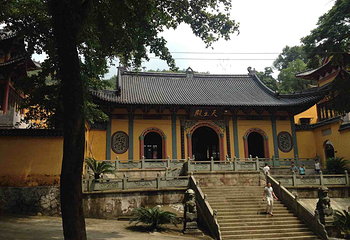 江厦森林公园第 3 张图片
