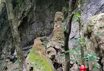 仙门奇峡第 94 张图片