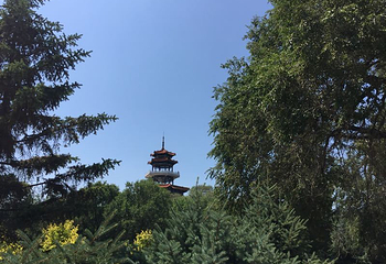 龙沙公园第 16 张图片