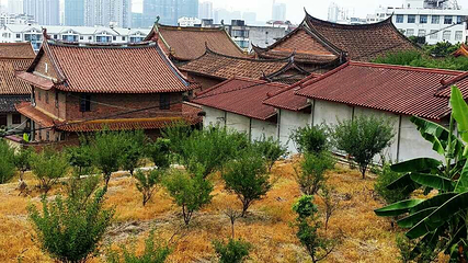 梅峰寺第 4 张图片